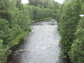 P andra delar r det lungt p Svgan